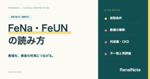 FeNa・FeUNの読み方：採取条件、数値の解釈、利尿薬・CKD、不一致と再評価