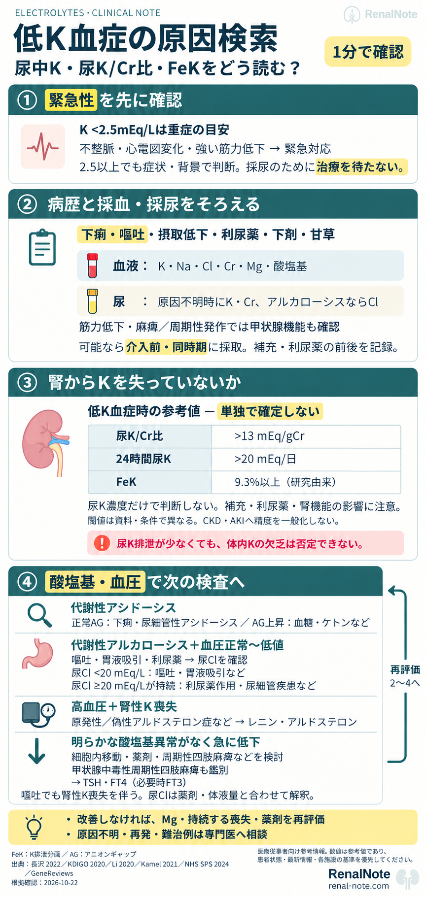 低K血症の原因検索:緊急性、採血・採尿、尿K/Cr比・FeK、酸塩基・血圧と甲状腺機能を確認するフロー